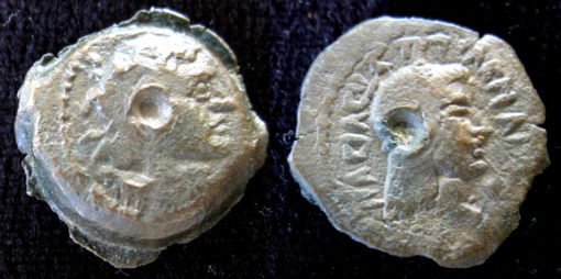 Ptolemy V AE Kyrenaica - Image 2