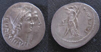 Cordia Denarius